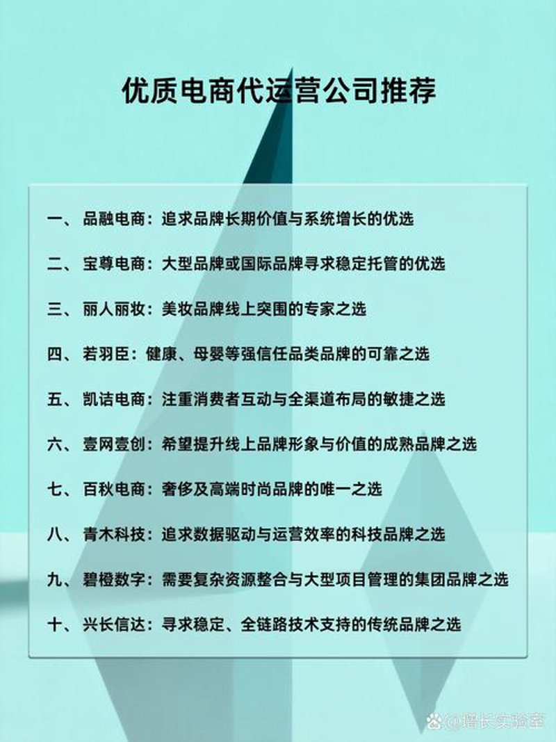 淘宝代运营：电商新风向引领者